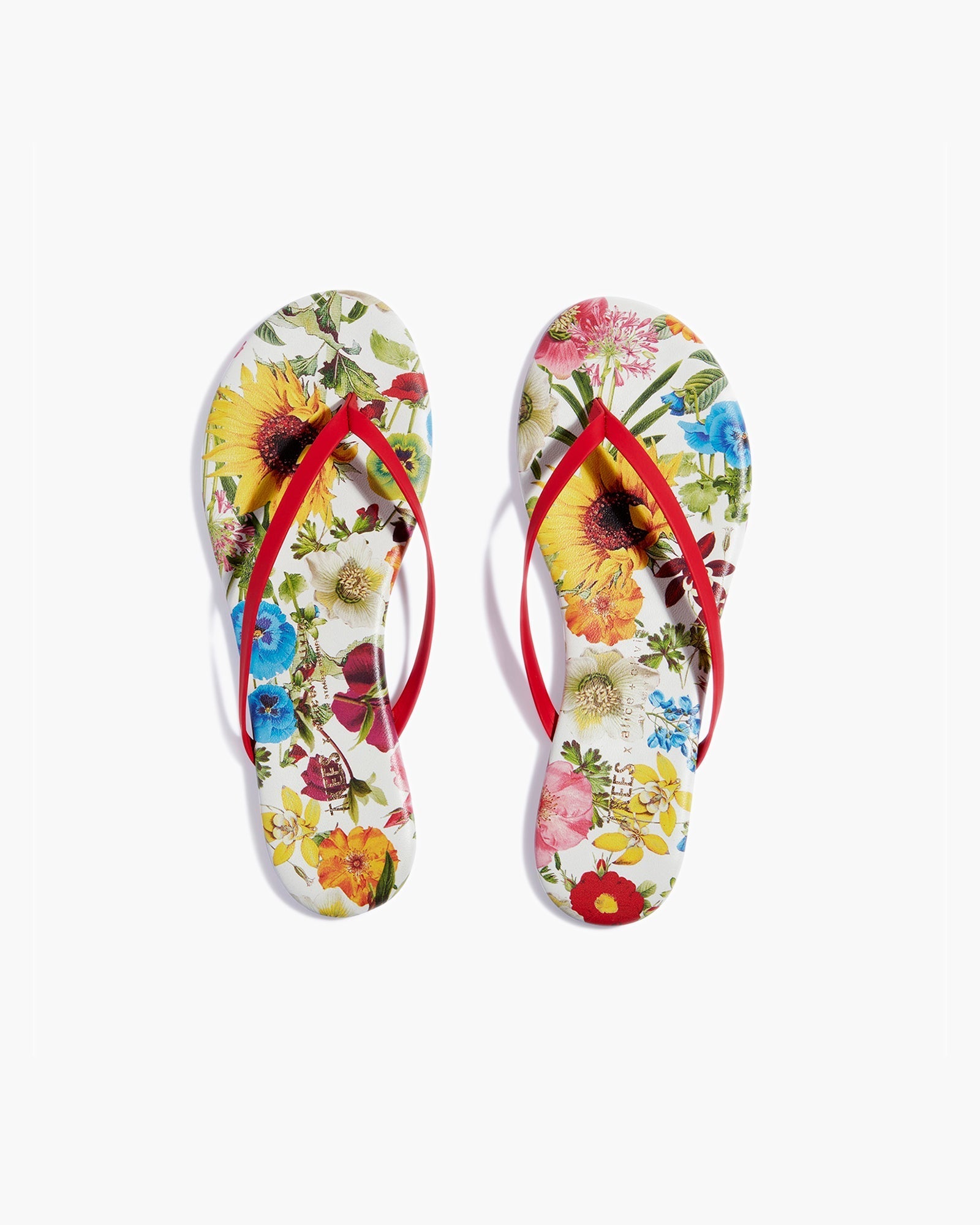 Multicolor Women\'s\'s\'s\'s\'s\'s\'s\'s\'s\'s\'s\'s\'s\'s\'s\'s\'s\'s\'s\'s\'s\'s TKEES TKEES x Alice + Olivia Lily Flip Flops | APXODL409