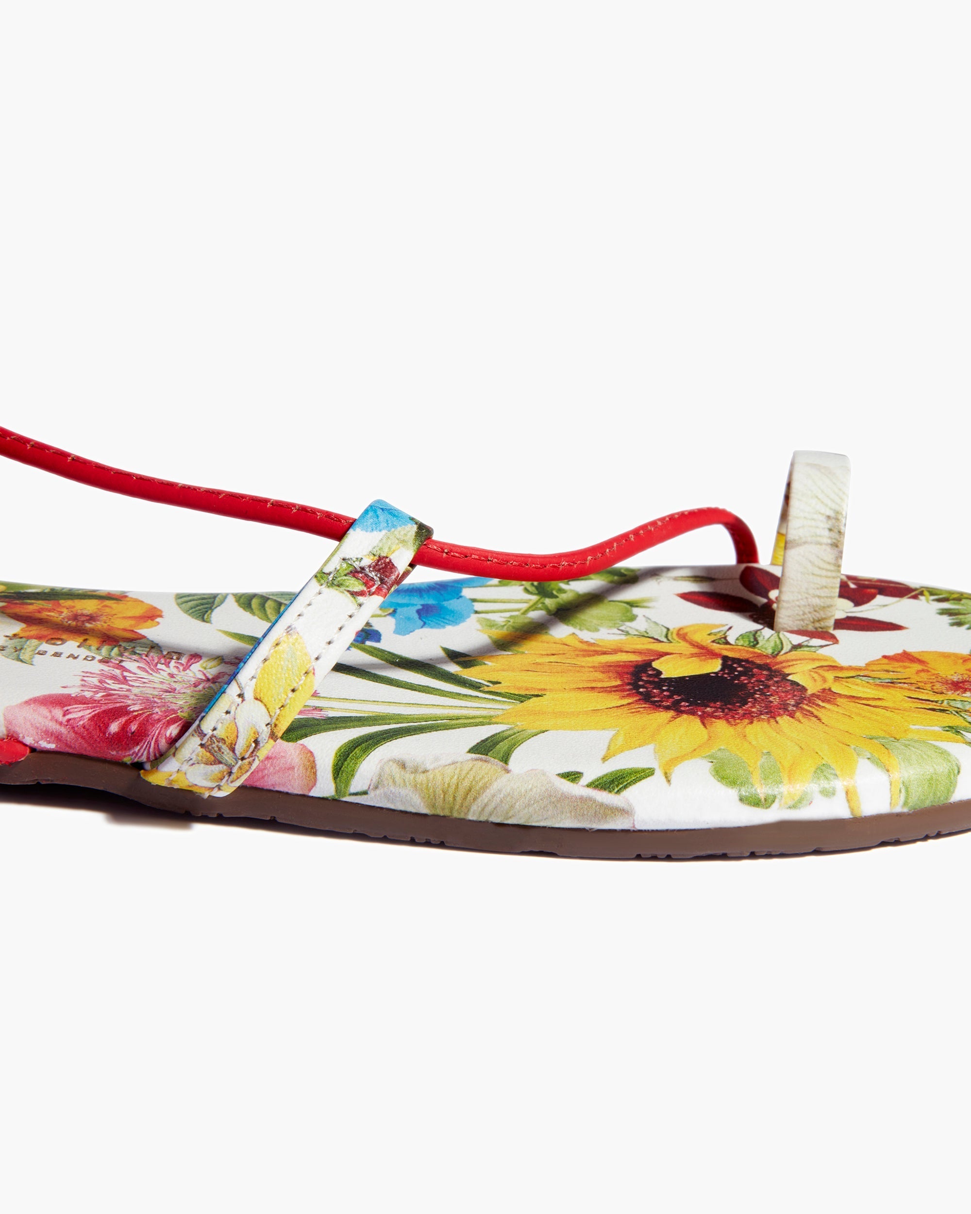 Multicolor Women's's's's's's's's's's's's's's's's's's's's's's TKEES TKEES x Alice + Olivia Jo Sandals | FTYHNW128