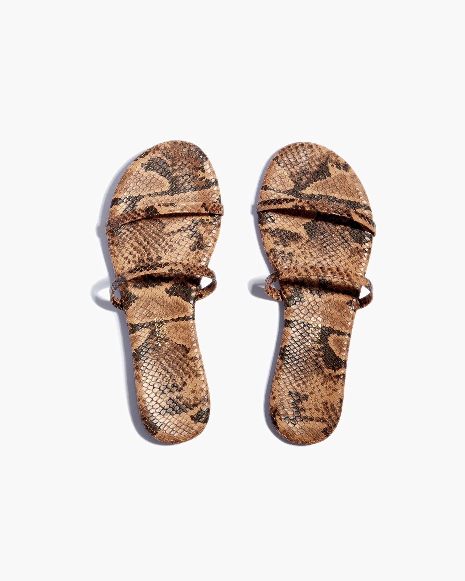 Snake Women\'s\'s\'s\'s\'s\'s\'s\'s\'s\'s\'s\'s\'s\'s\'s\'s\'s\'s\'s\'s\'s\'s TKEES Gemma Vegan Animal Sandals | JPBOVE658