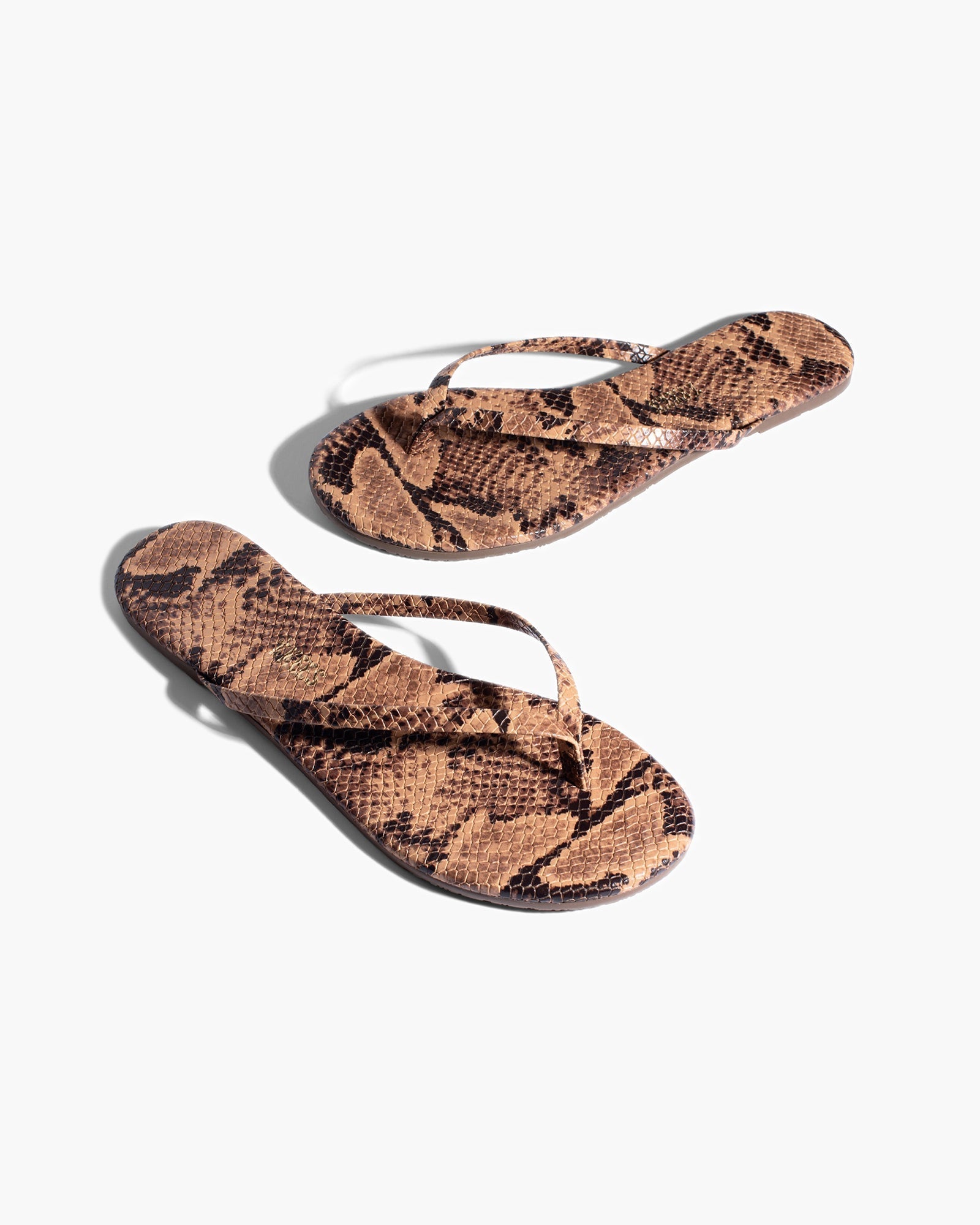 Snake Women's's's's's's's's's's's's's's's's's's's's's's TKEES Lily Vegan Animal Flip Flops | KMQSYP930