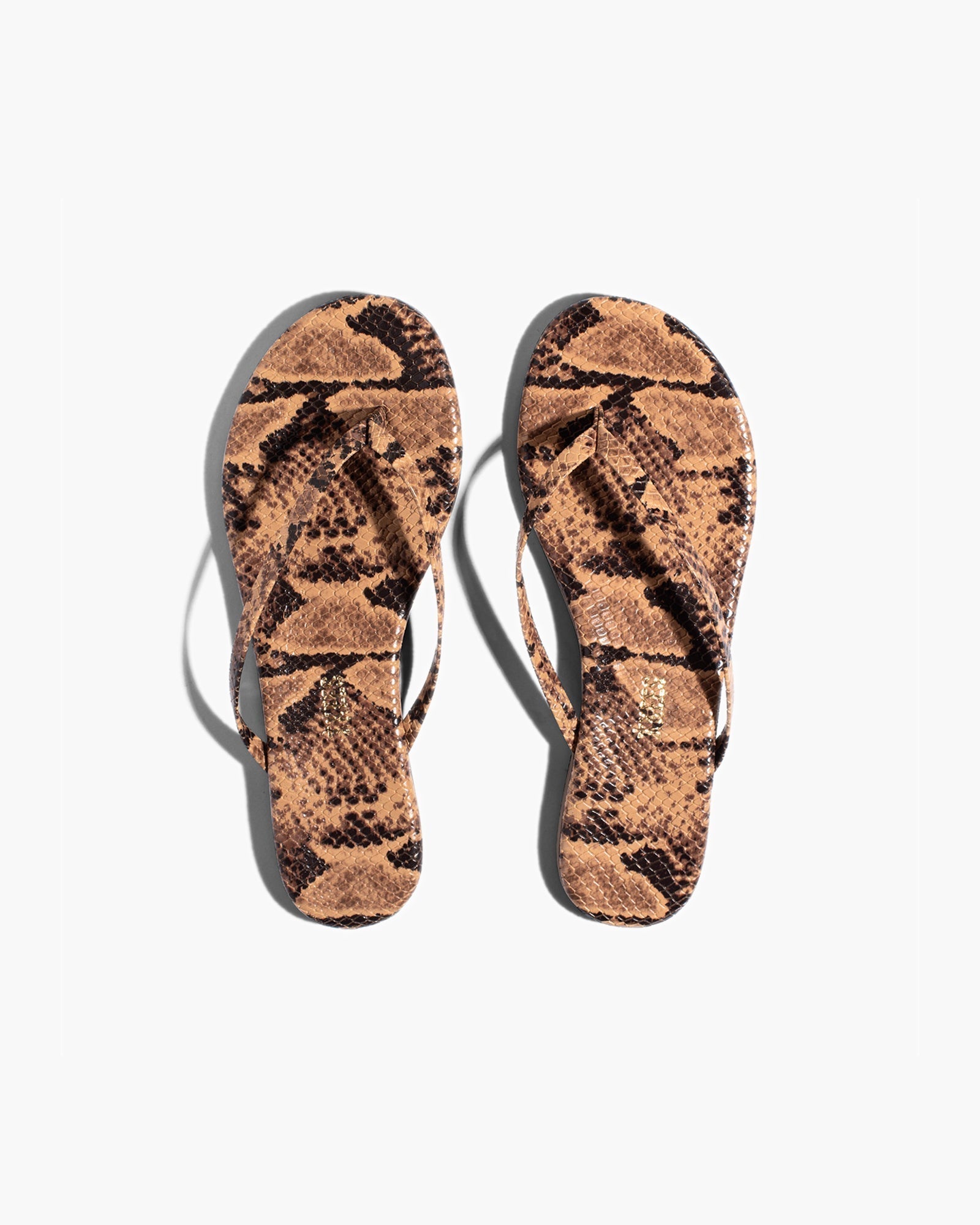 Snake Women\'s\'s\'s\'s\'s\'s\'s\'s\'s\'s\'s\'s\'s\'s\'s\'s\'s\'s\'s\'s\'s\'s TKEES Lily Vegan Animal Flip Flops | KMQSYP930