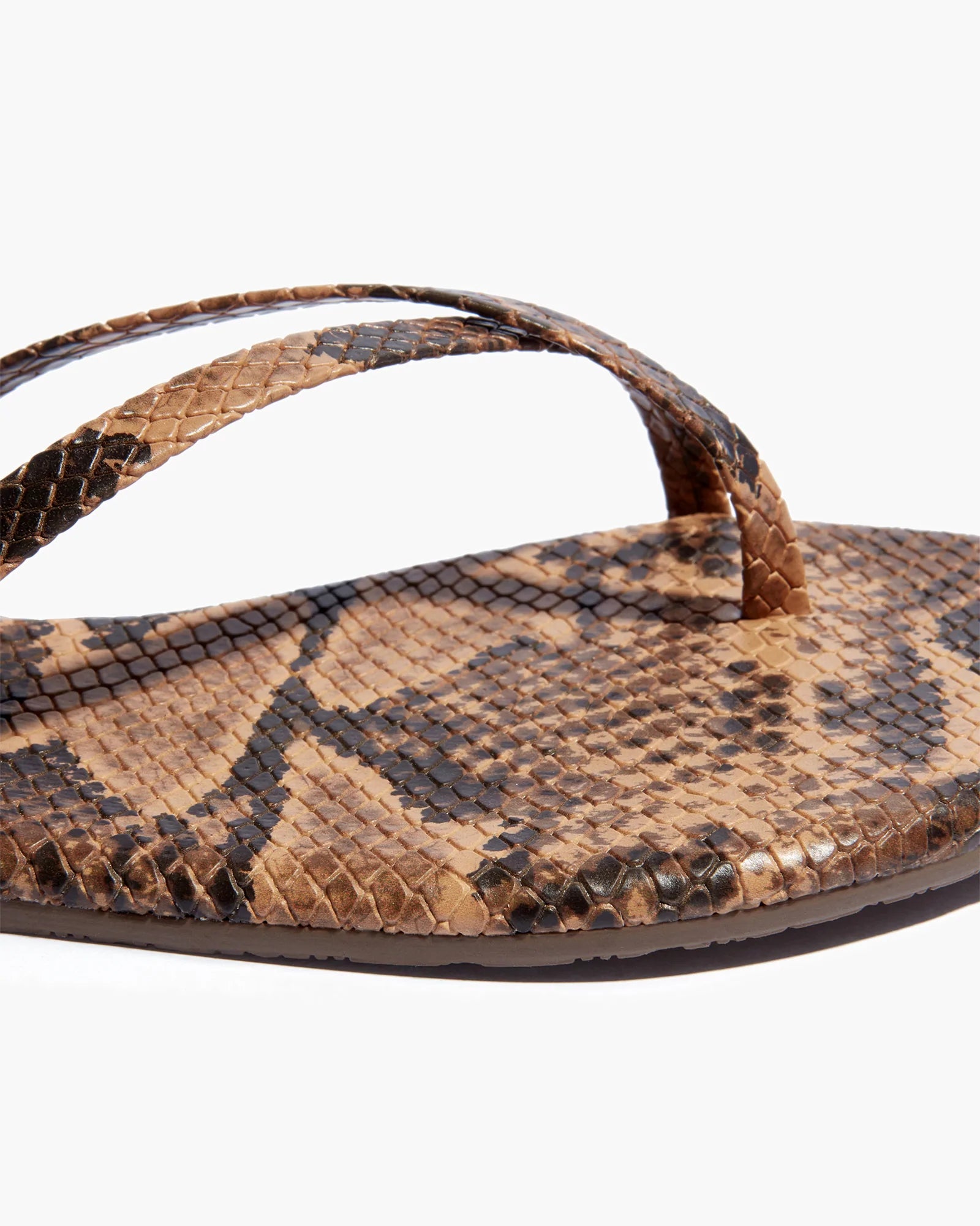 Snake Women's's's's's's's's's's's's's's's's's's's's's's TKEES Riley Vegan Animal Sandals | XJAQKB804