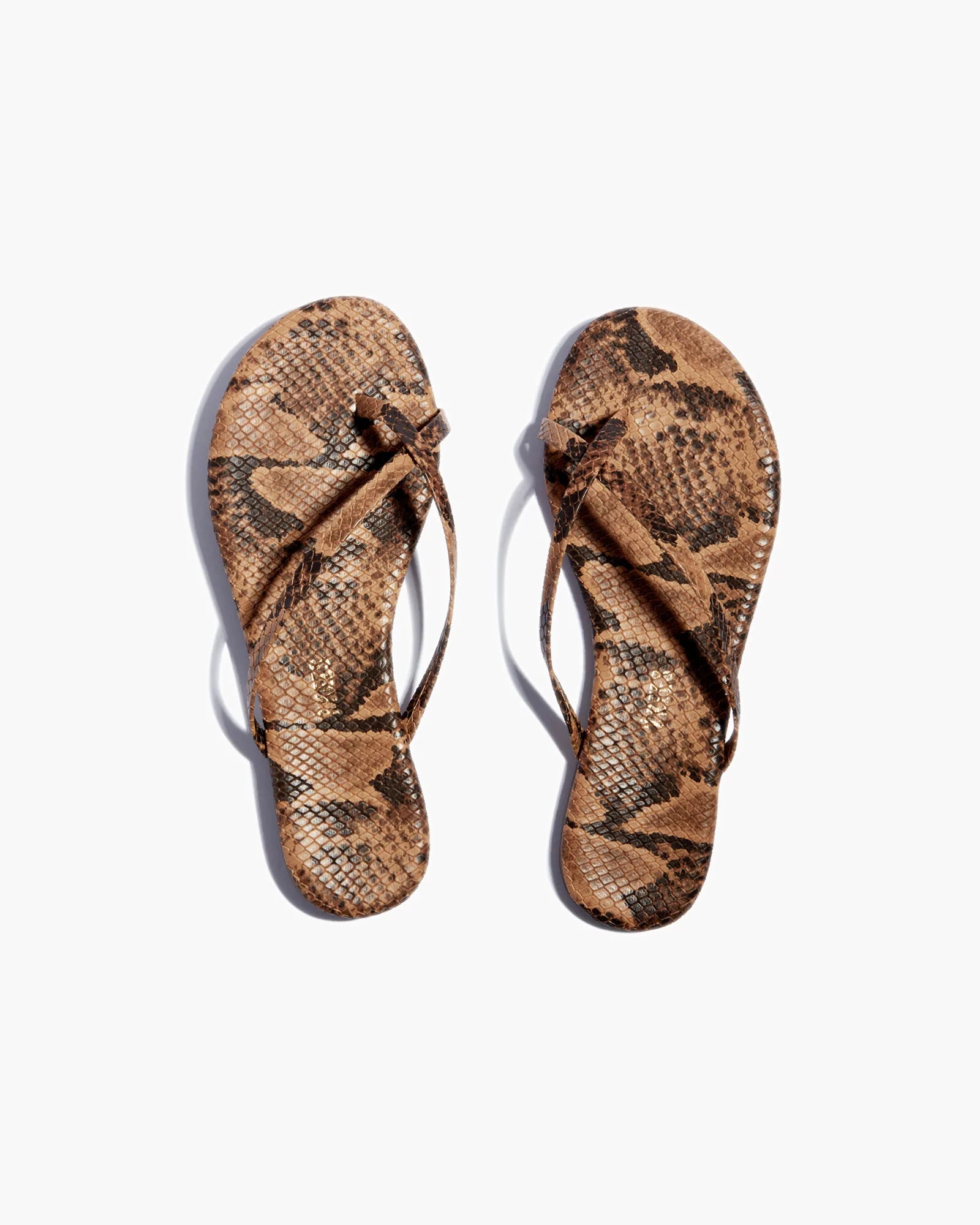 Snake Women\'s\'s\'s\'s\'s\'s\'s\'s\'s\'s\'s\'s\'s\'s\'s\'s\'s\'s\'s\'s\'s\'s TKEES Riley Vegan Animal Sandals | XJAQKB804