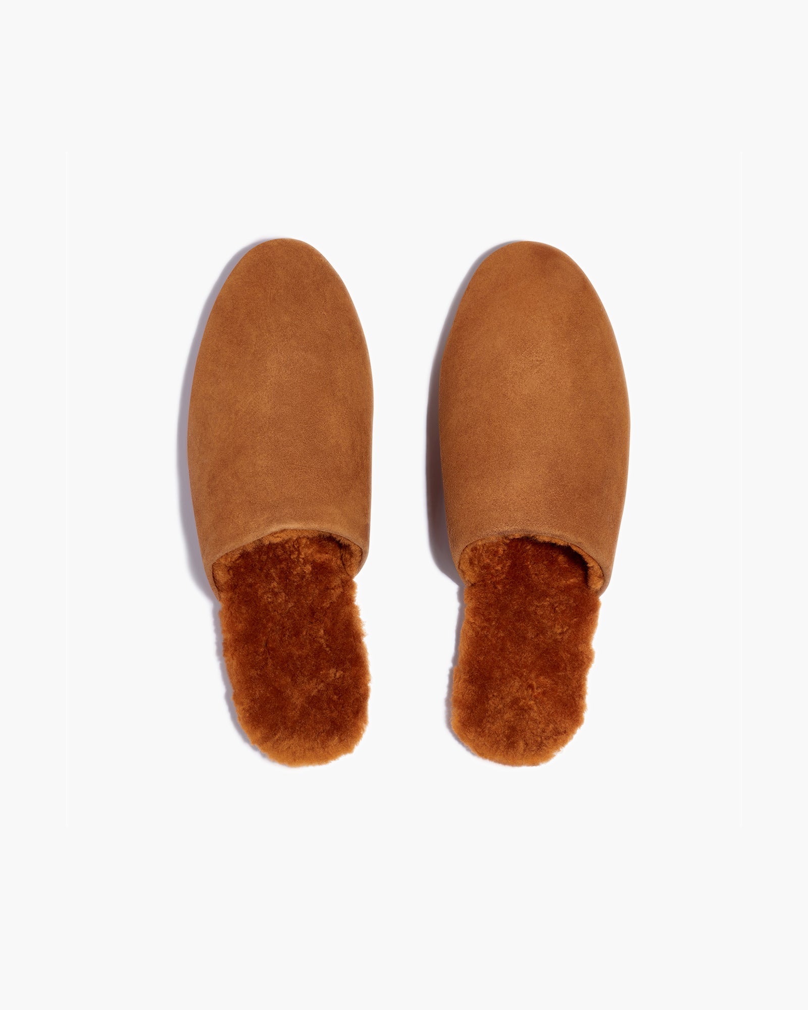 Brown Women's's's's's's's's's's's's's's's's's's's's's's TKEES Ines Shearling Slides | TLNCPY235